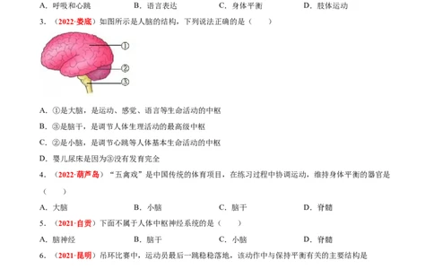 专题08&nbsp;人体生命活动的调节（原卷版）_02中考总复习（2026版更新中）_08-生物-中考总复习_2024年中考复习资料_专项复习_完三年（2021-2023）中考生物真题分项汇编（全国通用）