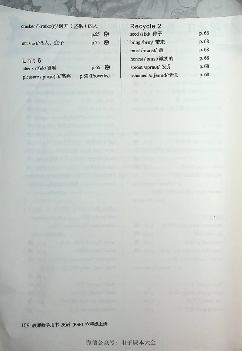 英语PEP6A教师教学用书_26春四年级上下册人教版_四上英语合集人教版PEP英语四年级上册新教材（教学视频+课件+动画+音频+练习+教案）_16教师用书_小学英语_人教版PEP