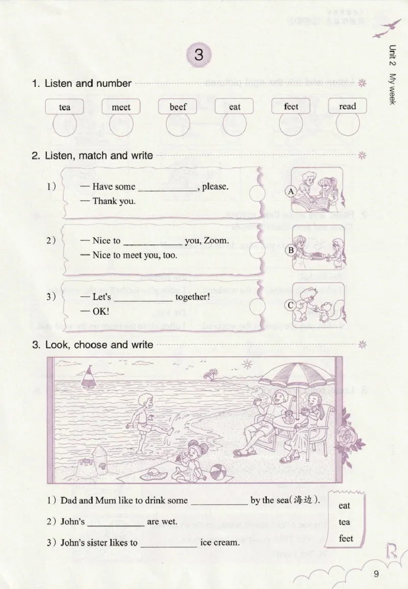 英语作业本PEP5A_26春四年级上下册人教版_四上英语合集人教版PEP英语四年级上册新教材（教学视频+课件+动画+音频+练习+教案）_17练习资料_PEP版《英语作业本》3-6年级上册（2025秋）
