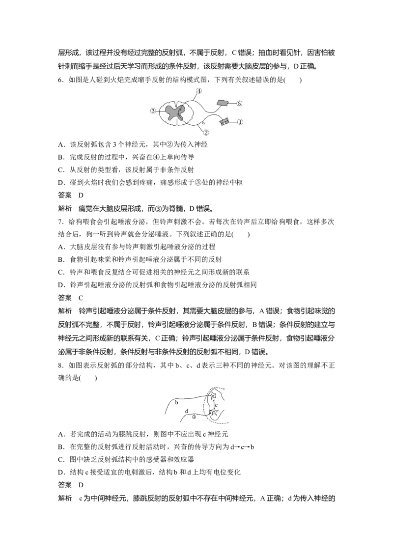 2024年高考生物一轮复习（新人教版）第8单元　第2课时　神经调节的结构基础及基本方式_09高考生物_2024年新高考资料_1.2024一轮复习_2024年高考生物一轮复习讲义（新人教版）