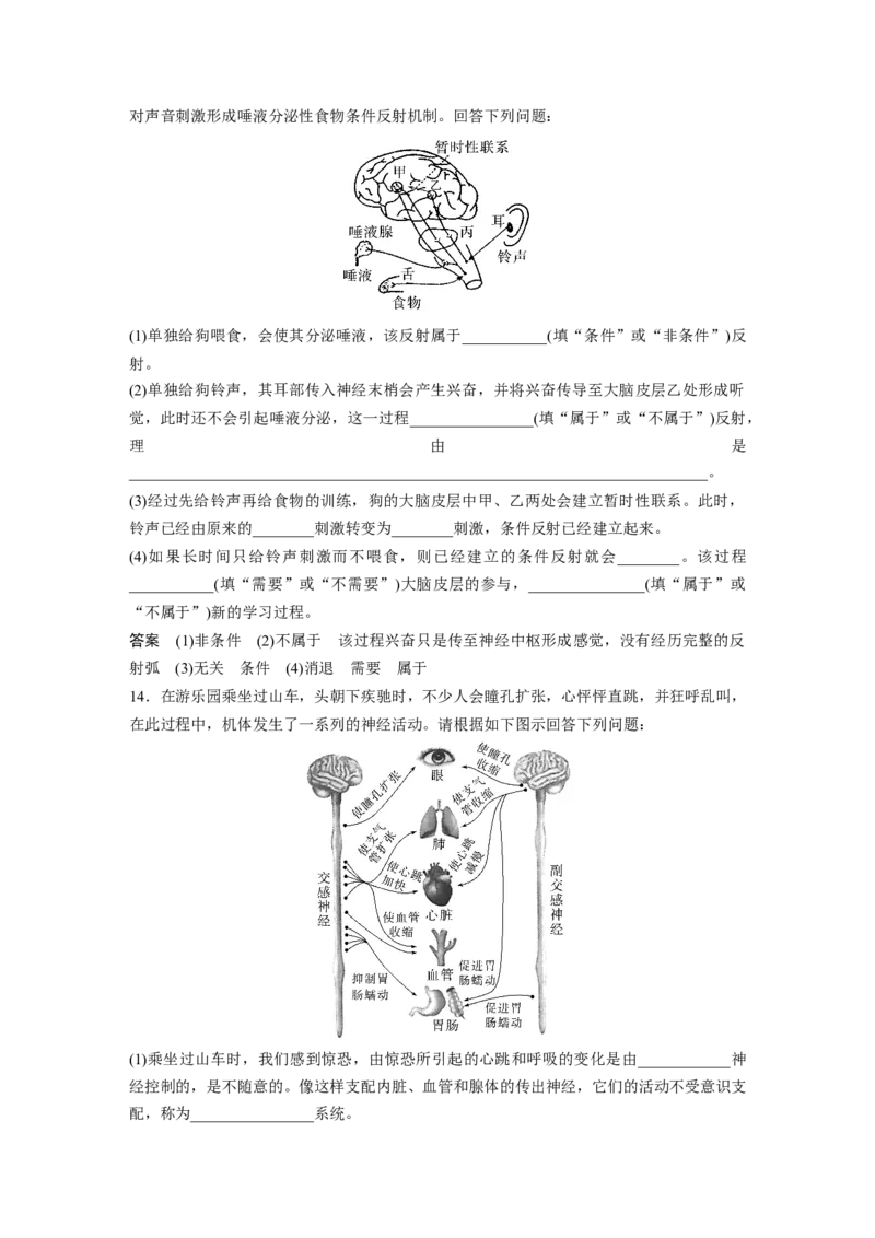 2024年高考生物一轮复习（新人教版）第8单元　第2课时　神经调节的结构基础及基本方式_09高考生物_2024年新高考资料_1.2024一轮复习_2024年高考生物一轮复习讲义（新人教版）