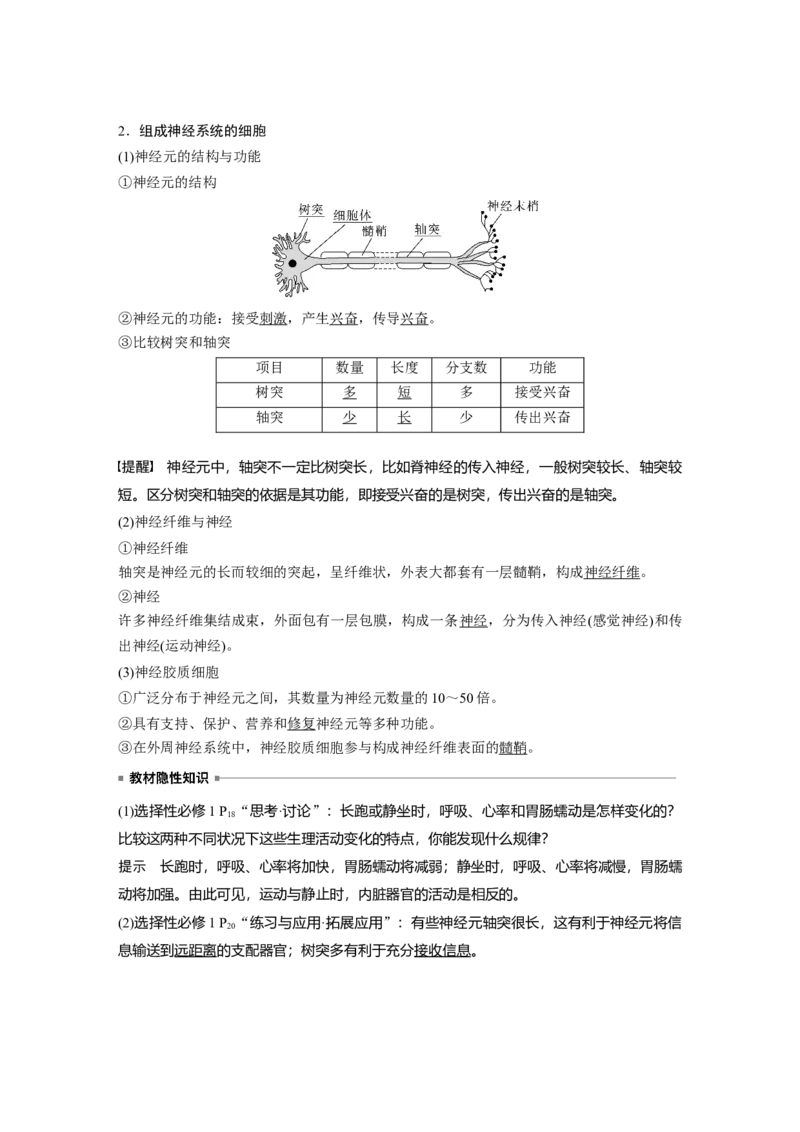 2024年高考生物一轮复习（新人教版）第8单元　第2课时　神经调节的结构基础及基本方式_09高考生物_2024年新高考资料_1.2024一轮复习_2024年高考生物一轮复习讲义（新人教版）