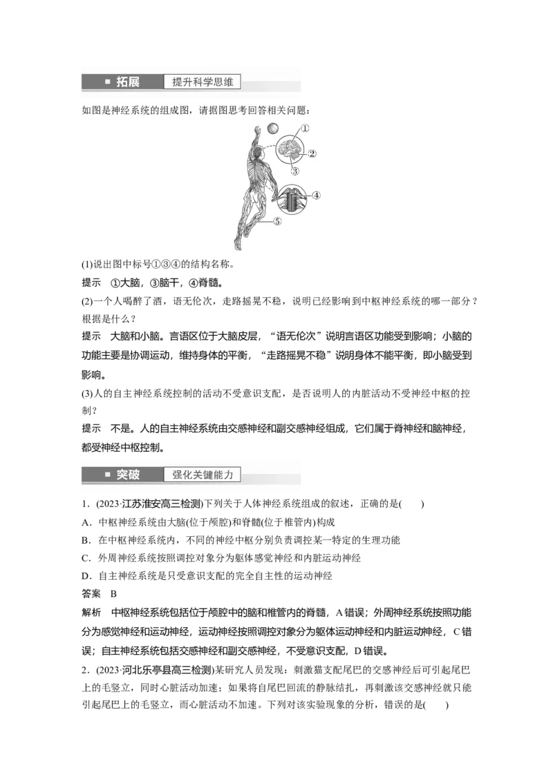 2024年高考生物一轮复习（新人教版）第8单元　第2课时　神经调节的结构基础及基本方式_09高考生物_2024年新高考资料_1.2024一轮复习_2024年高考生物一轮复习讲义（新人教版）