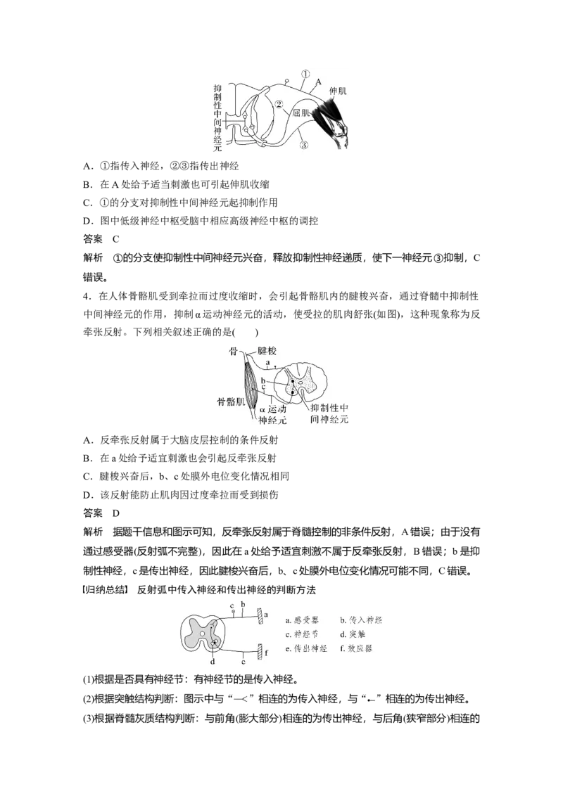 2024年高考生物一轮复习（新人教版）第8单元　第2课时　神经调节的结构基础及基本方式_09高考生物_2024年新高考资料_1.2024一轮复习_2024年高考生物一轮复习讲义（新人教版）
