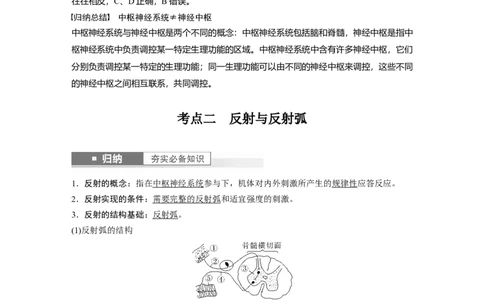 2024年高考生物一轮复习（新人教版）第8单元　第2课时　神经调节的结构基础及基本方式_09高考生物_2024年新高考资料_1.2024一轮复习_2024年高考生物一轮复习讲义（新人教版）