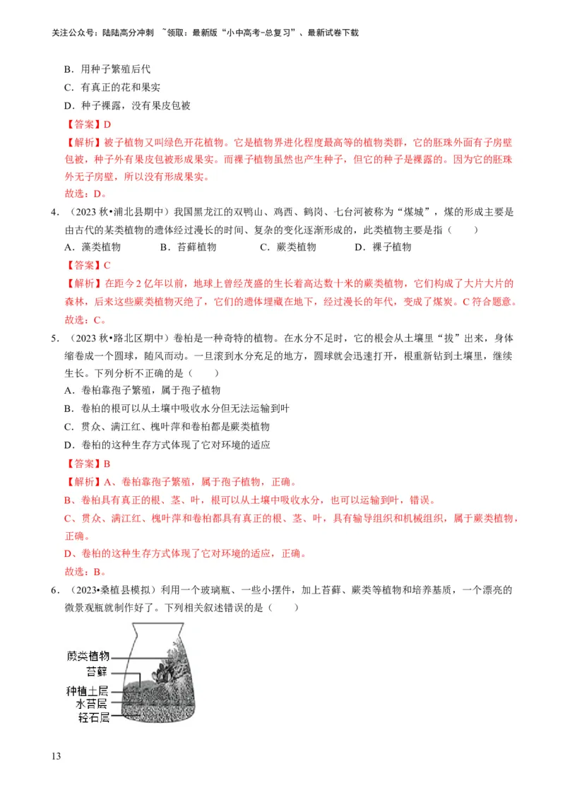 专题07生物圈中有哪些绿色植物（解析版）_02中考总复习（2026版更新中）_08-生物-中考总复习_2024年中考复习资料_专项复习_备战2024年中考生物真题题源解密
