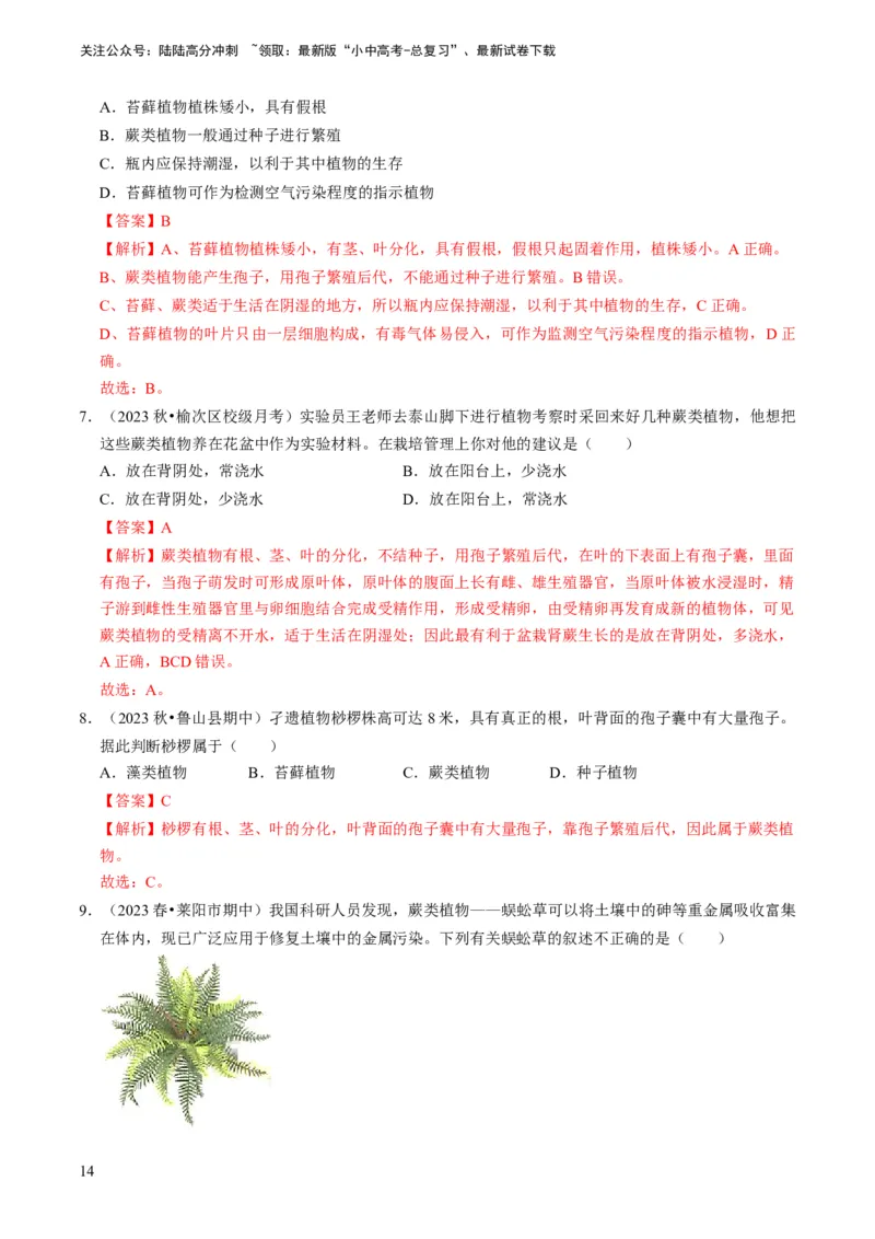 专题07生物圈中有哪些绿色植物（解析版）_02中考总复习（2026版更新中）_08-生物-中考总复习_2024年中考复习资料_专项复习_备战2024年中考生物真题题源解密