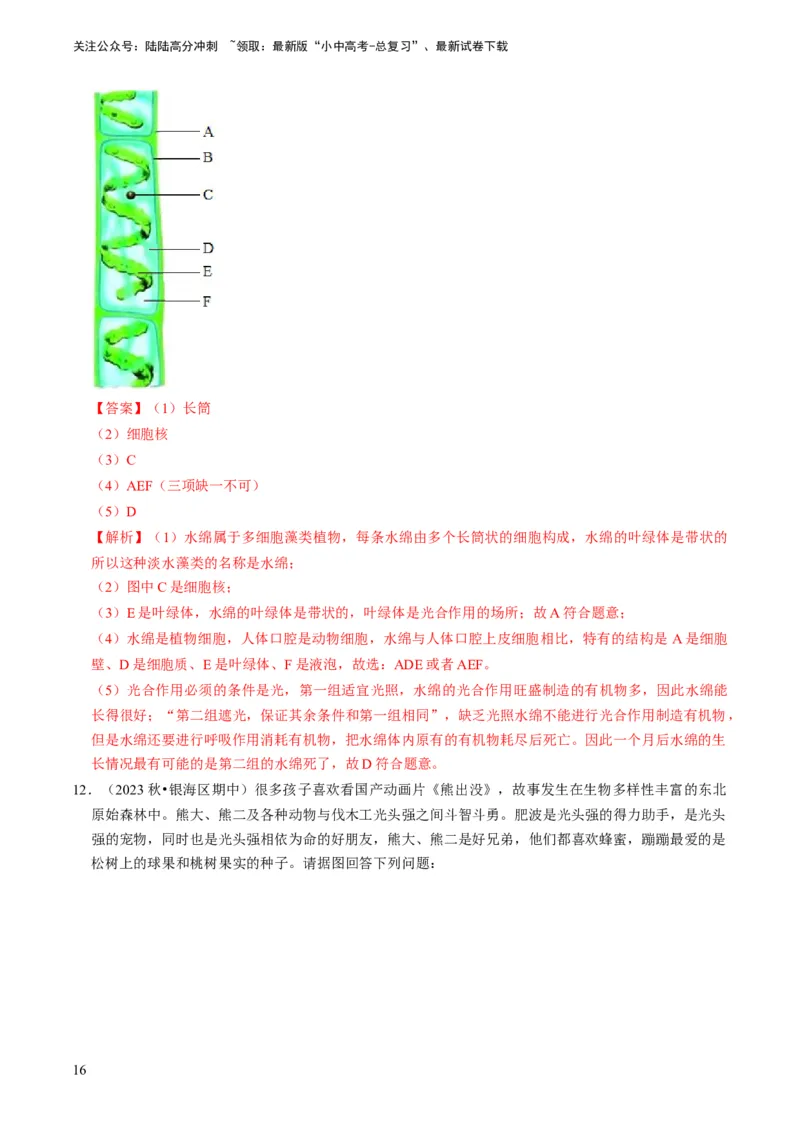 专题07生物圈中有哪些绿色植物（解析版）_02中考总复习（2026版更新中）_08-生物-中考总复习_2024年中考复习资料_专项复习_备战2024年中考生物真题题源解密