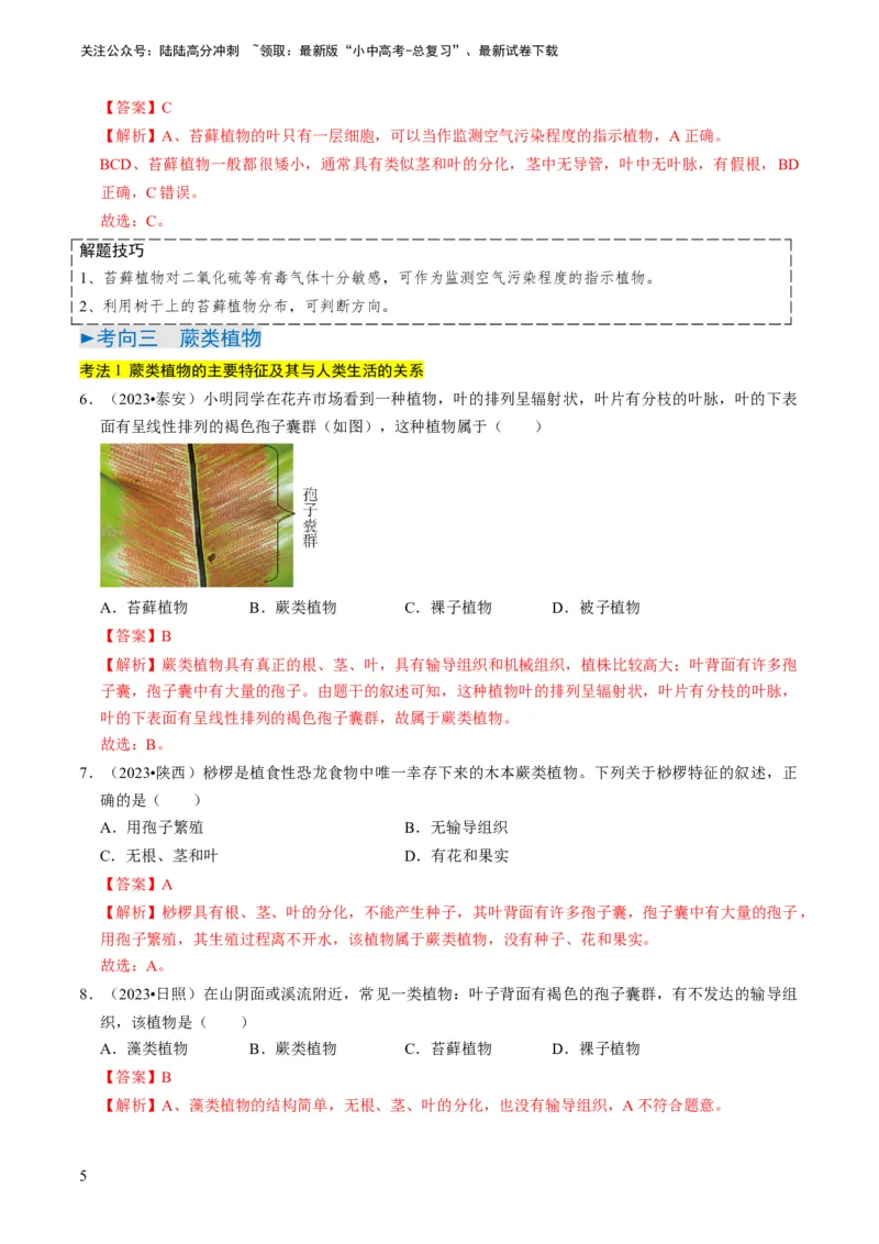 专题07生物圈中有哪些绿色植物（解析版）_02中考总复习（2026版更新中）_08-生物-中考总复习_2024年中考复习资料_专项复习_备战2024年中考生物真题题源解密