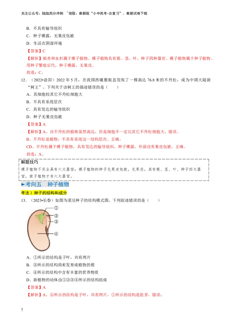 专题07生物圈中有哪些绿色植物（解析版）_02中考总复习（2026版更新中）_08-生物-中考总复习_2024年中考复习资料_专项复习_备战2024年中考生物真题题源解密