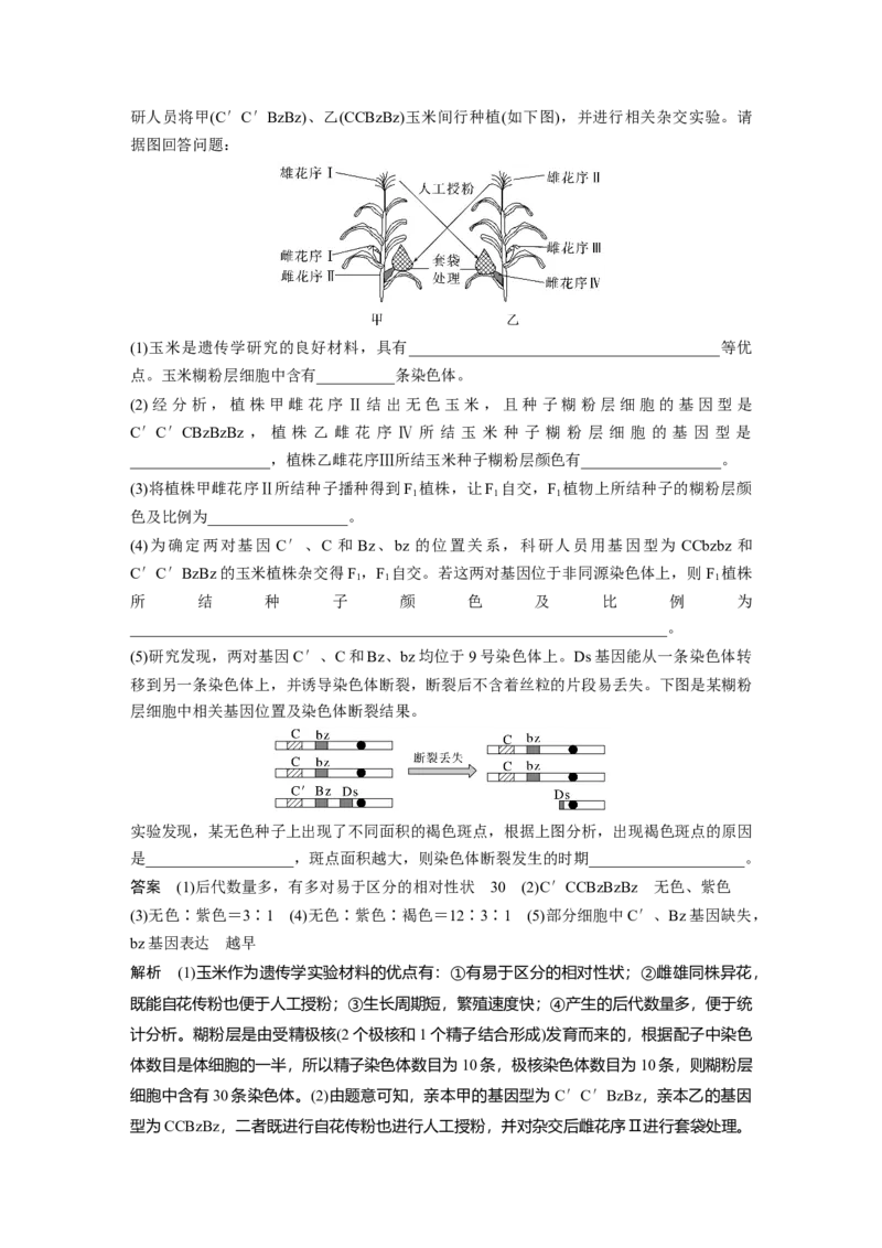 2024年高考生物一轮复习（新人教版）第5单元　第5课时　基因自由组合定律基础题型突破_09高考生物_2024年新高考资料_1.2024一轮复习_2024年高考生物一轮复习讲义（新人教版）