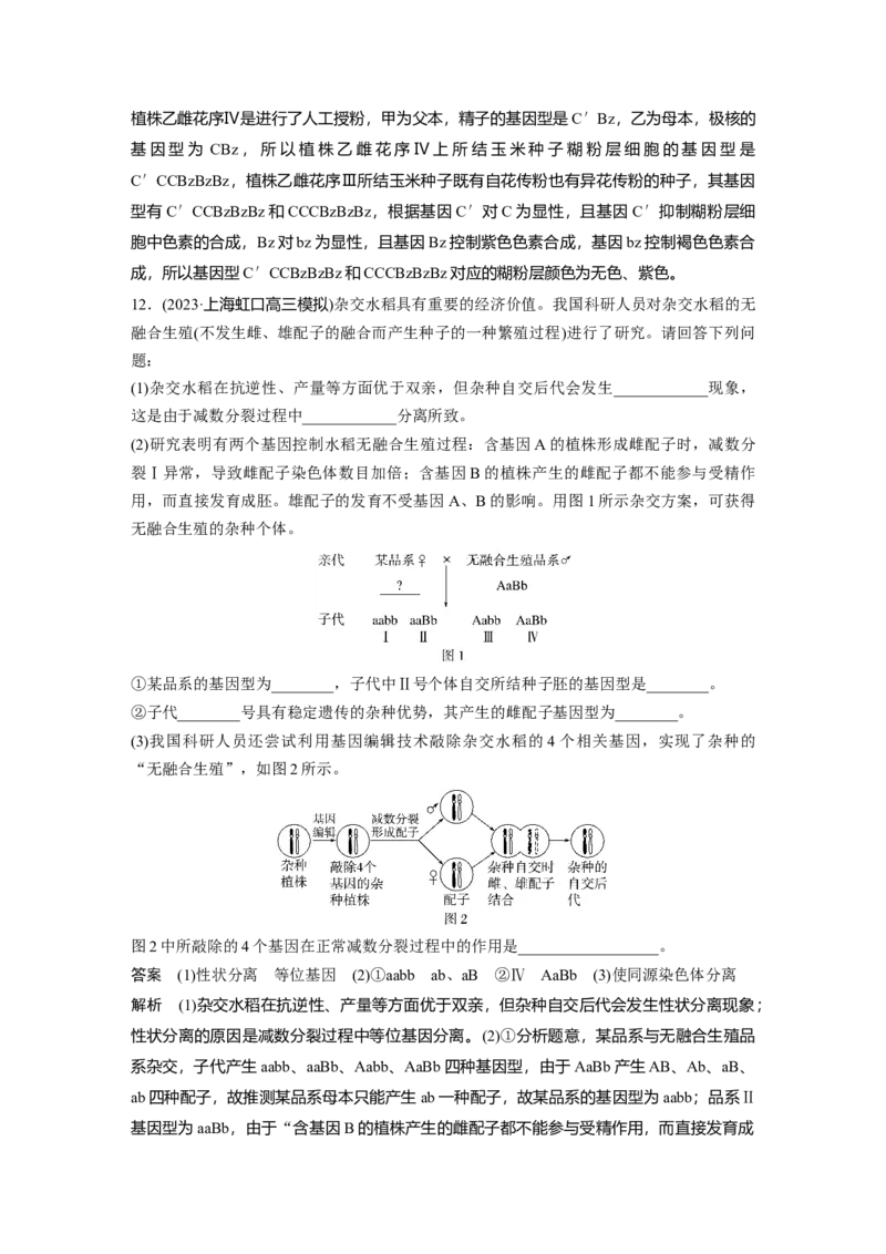 2024年高考生物一轮复习（新人教版）第5单元　第5课时　基因自由组合定律基础题型突破_09高考生物_2024年新高考资料_1.2024一轮复习_2024年高考生物一轮复习讲义（新人教版）