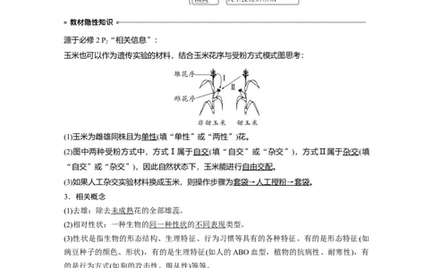 2024年高考生物一轮复习（新人教版）第5单元　第1课时　分离定律的发现_09高考生物_2024年新高考资料_1.2024一轮复习_2024年高考生物一轮复习讲义（新人教版）