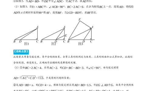 专题17.1运用勾股定理解三角形（压轴题专项讲练）（人教版）（教师版）_初中数学_八年级数学下册（人教版）_压轴题专项-V5_2025版