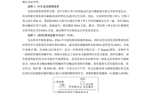 2024年高考生物一轮复习（新人教版）第10单元　解惑练4　PCR技术拓展应用_09高考生物_2024年新高考资料_1.2024一轮复习_2024年高考生物一轮复习讲义（新人教版）