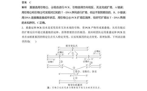 2024年高考生物一轮复习（新人教版）第10单元　解惑练4　PCR技术拓展应用_09高考生物_2024年新高考资料_1.2024一轮复习_2024年高考生物一轮复习讲义（新人教版）