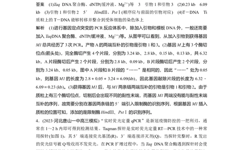 2024年高考生物一轮复习（新人教版）第10单元　解惑练4　PCR技术拓展应用_09高考生物_2024年新高考资料_1.2024一轮复习_2024年高考生物一轮复习讲义（新人教版）