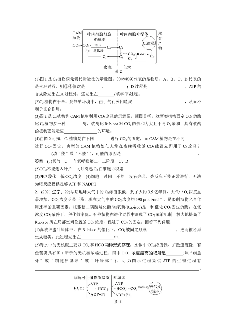 2024年高考生物一轮复习（新人教版）第3单元　解惑练1　C3植物、C4植物和CAM植物_09高考生物_2024年新高考资料_1.2024一轮复习_2024年高考生物一轮复习讲义（新人教版）