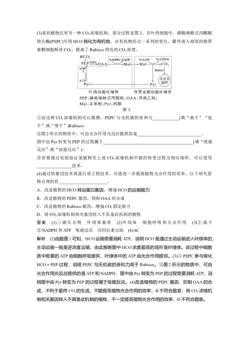 2024年高考生物一轮复习（新人教版）第3单元　解惑练1　C3植物、C4植物和CAM植物_09高考生物_2024年新高考资料_1.2024一轮复习_2024年高考生物一轮复习讲义（新人教版）