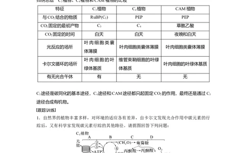 2024年高考生物一轮复习（新人教版）第3单元　解惑练1　C3植物、C4植物和CAM植物_09高考生物_2024年新高考资料_1.2024一轮复习_2024年高考生物一轮复习讲义（新人教版）