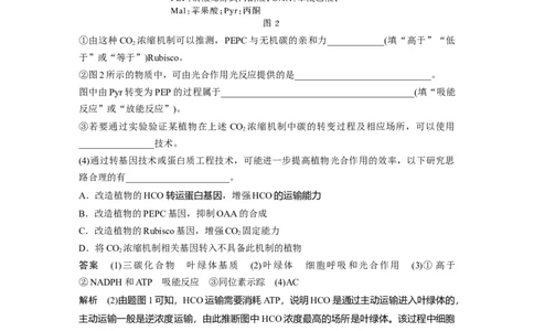 2024年高考生物一轮复习（新人教版）第3单元　解惑练1　C3植物、C4植物和CAM植物_09高考生物_2024年新高考资料_1.2024一轮复习_2024年高考生物一轮复习讲义（新人教版）
