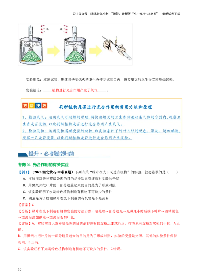 专题07绿色植物的光合作用（讲义）（解析版）_02中考总复习（2026版更新中）_08-生物-中考总复习_2024年中考复习资料_一轮复习_❤2024年中考生物一轮复习讲练测（全国通用）_讲义