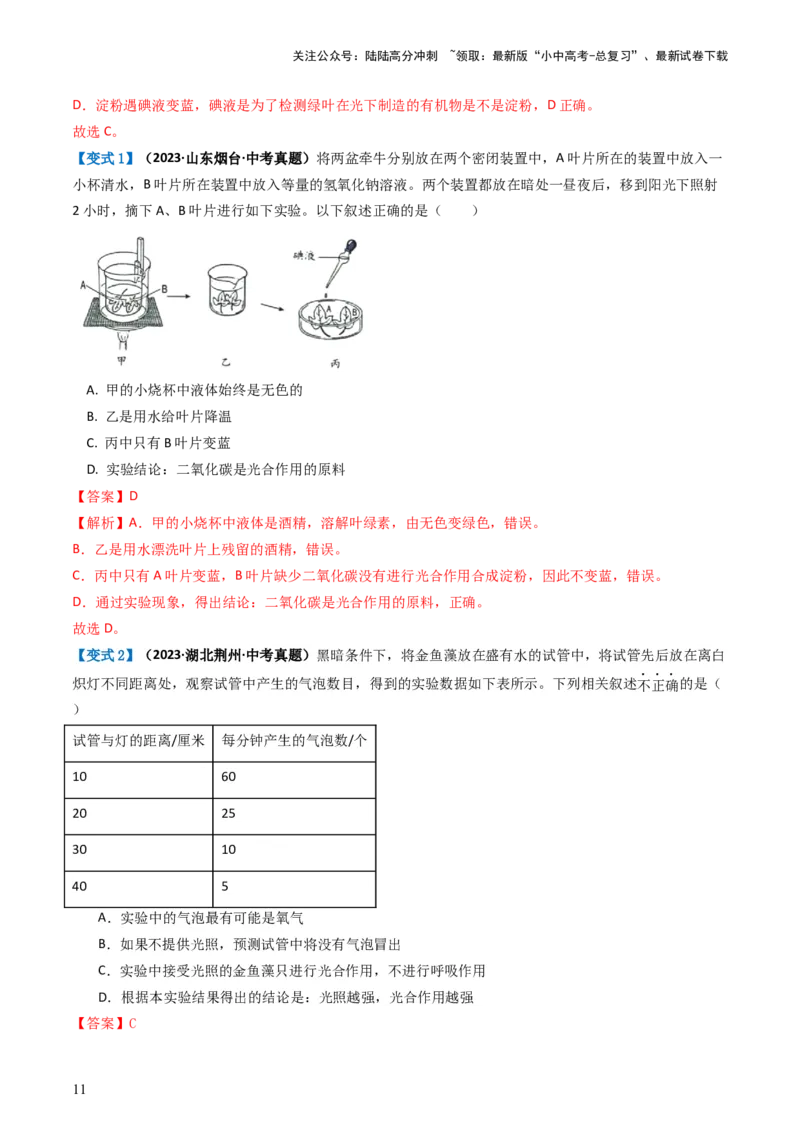 专题07绿色植物的光合作用（讲义）（解析版）_02中考总复习（2026版更新中）_08-生物-中考总复习_2024年中考复习资料_一轮复习_❤2024年中考生物一轮复习讲练测（全国通用）_讲义
