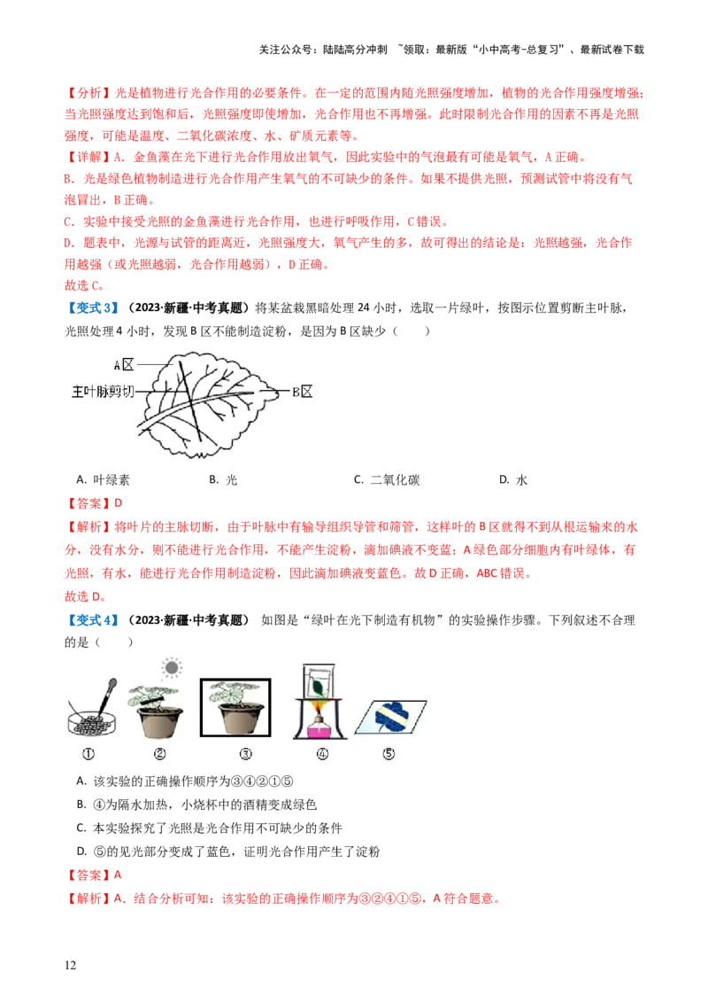 专题07绿色植物的光合作用（讲义）（解析版）_02中考总复习（2026版更新中）_08-生物-中考总复习_2024年中考复习资料_一轮复习_❤2024年中考生物一轮复习讲练测（全国通用）_讲义
