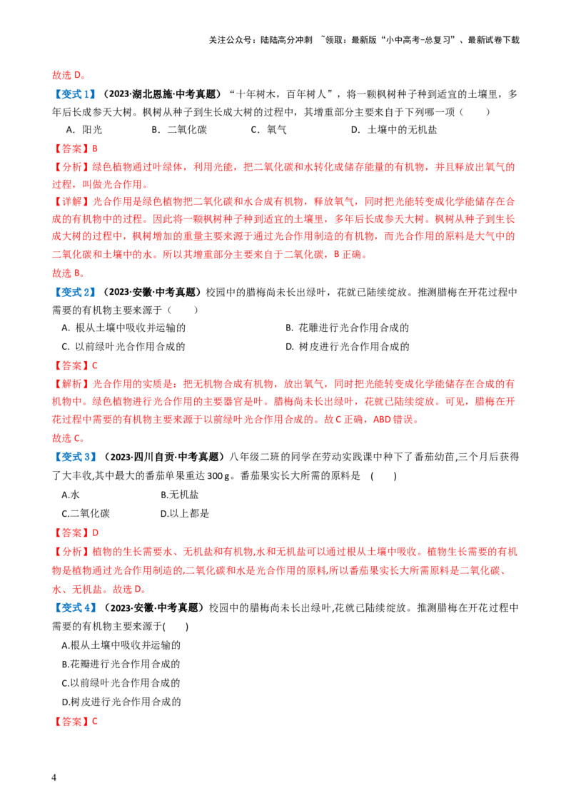 专题07绿色植物的光合作用（讲义）（解析版）_02中考总复习（2026版更新中）_08-生物-中考总复习_2024年中考复习资料_一轮复习_❤2024年中考生物一轮复习讲练测（全国通用）_讲义