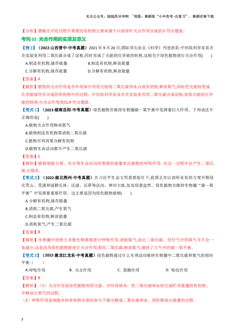 专题07绿色植物的光合作用（讲义）（解析版）_02中考总复习（2026版更新中）_08-生物-中考总复习_2024年中考复习资料_一轮复习_❤2024年中考生物一轮复习讲练测（全国通用）_讲义