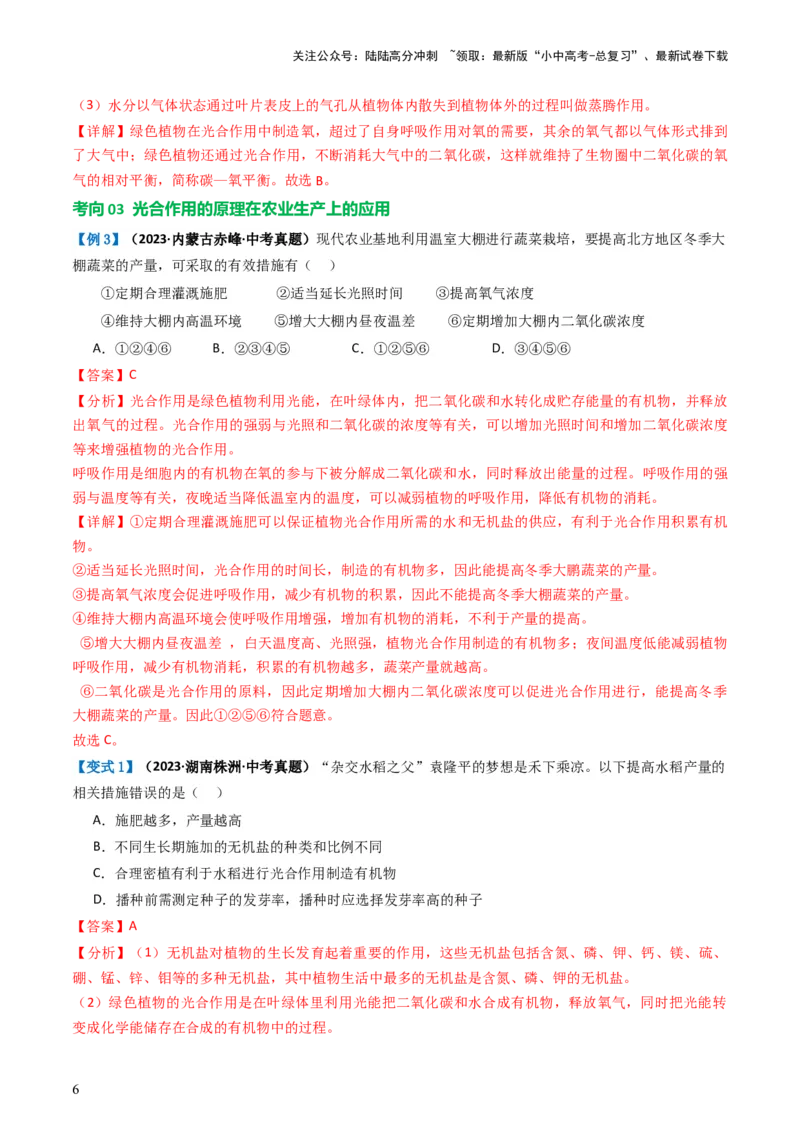 专题07绿色植物的光合作用（讲义）（解析版）_02中考总复习（2026版更新中）_08-生物-中考总复习_2024年中考复习资料_一轮复习_❤2024年中考生物一轮复习讲练测（全国通用）_讲义