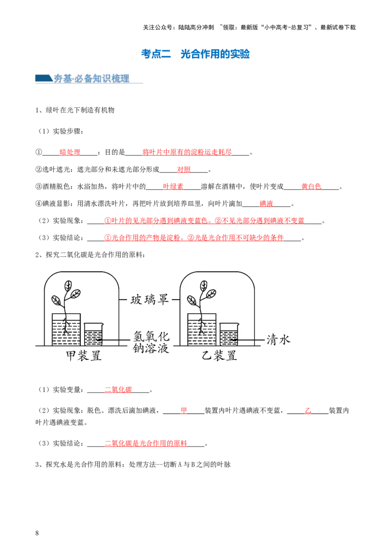 专题07绿色植物的光合作用（讲义）（解析版）_02中考总复习（2026版更新中）_08-生物-中考总复习_2024年中考复习资料_一轮复习_❤2024年中考生物一轮复习讲练测（全国通用）_讲义
