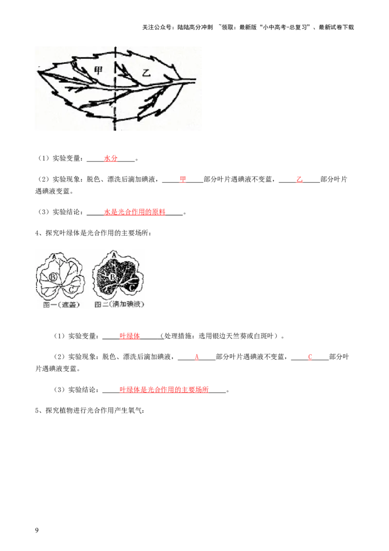 专题07绿色植物的光合作用（讲义）（解析版）_02中考总复习（2026版更新中）_08-生物-中考总复习_2024年中考复习资料_一轮复习_❤2024年中考生物一轮复习讲练测（全国通用）_讲义