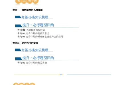 专题07绿色植物的光合作用（讲义）（解析版）_02中考总复习（2026版更新中）_08-生物-中考总复习_2024年中考复习资料_一轮复习_❤2024年中考生物一轮复习讲练测（全国通用）_讲义
