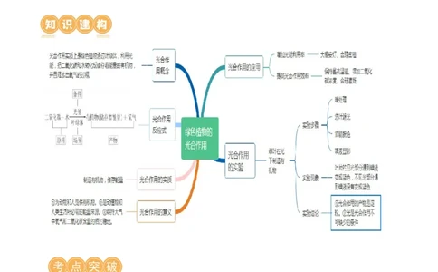 专题07绿色植物的光合作用（讲义）（解析版）_02中考总复习（2026版更新中）_08-生物-中考总复习_2024年中考复习资料_一轮复习_❤2024年中考生物一轮复习讲练测（全国通用）_讲义