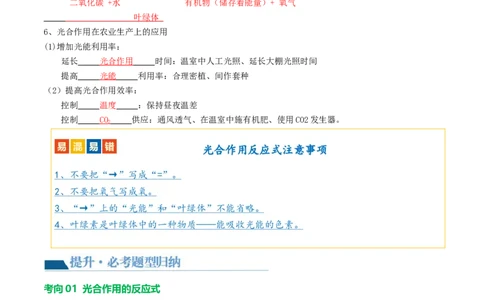 专题07绿色植物的光合作用（讲义）（解析版）_02中考总复习（2026版更新中）_08-生物-中考总复习_2024年中考复习资料_一轮复习_❤2024年中考生物一轮复习讲练测（全国通用）_讲义