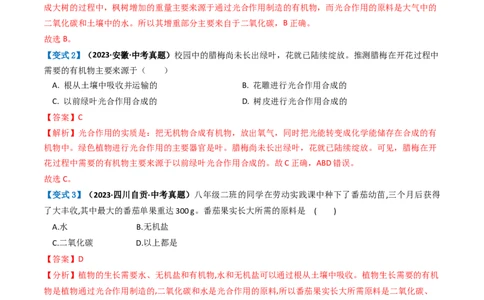 专题07绿色植物的光合作用（讲义）（解析版）_02中考总复习（2026版更新中）_08-生物-中考总复习_2024年中考复习资料_一轮复习_❤2024年中考生物一轮复习讲练测（全国通用）_讲义