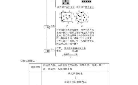 2024年高考生物一轮复习（新人教版）第9单元　第1课时　种群的数量特征_09高考生物_2024年新高考资料_1.2024一轮复习_2024年高考生物一轮复习讲义（新人教版）