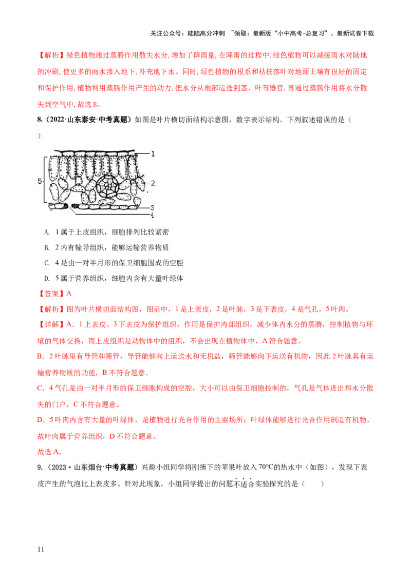 专题06绿色植物与生物圈的水循环（练习）（解析版）_02中考总复习（2026版更新中）_08-生物-中考总复习_2024年中考复习资料_一轮复习_❤2024年中考生物一轮复习讲练测（全国通用）_练习