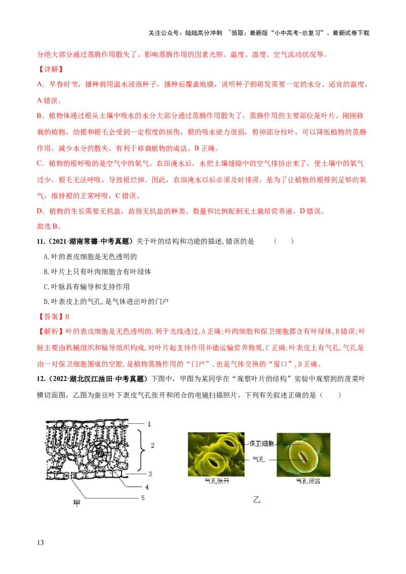 专题06绿色植物与生物圈的水循环（练习）（解析版）_02中考总复习（2026版更新中）_08-生物-中考总复习_2024年中考复习资料_一轮复习_❤2024年中考生物一轮复习讲练测（全国通用）_练习
