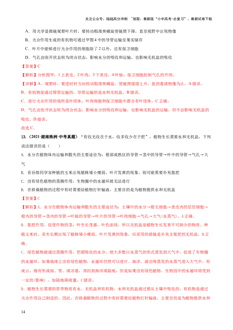 专题06绿色植物与生物圈的水循环（练习）（解析版）_02中考总复习（2026版更新中）_08-生物-中考总复习_2024年中考复习资料_一轮复习_❤2024年中考生物一轮复习讲练测（全国通用）_练习