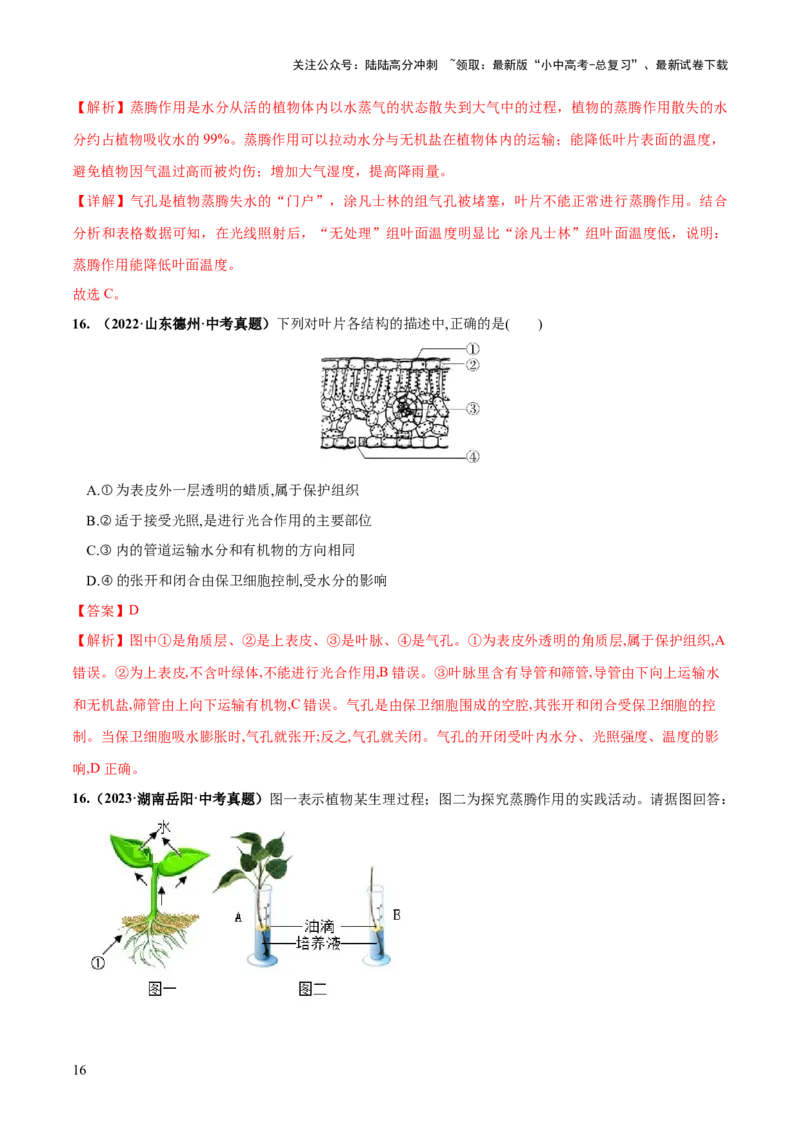 专题06绿色植物与生物圈的水循环（练习）（解析版）_02中考总复习（2026版更新中）_08-生物-中考总复习_2024年中考复习资料_一轮复习_❤2024年中考生物一轮复习讲练测（全国通用）_练习