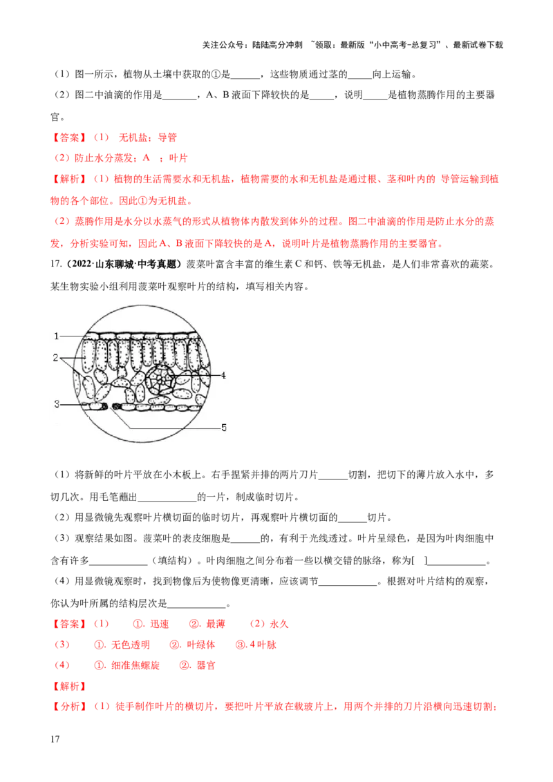 专题06绿色植物与生物圈的水循环（练习）（解析版）_02中考总复习（2026版更新中）_08-生物-中考总复习_2024年中考复习资料_一轮复习_❤2024年中考生物一轮复习讲练测（全国通用）_练习