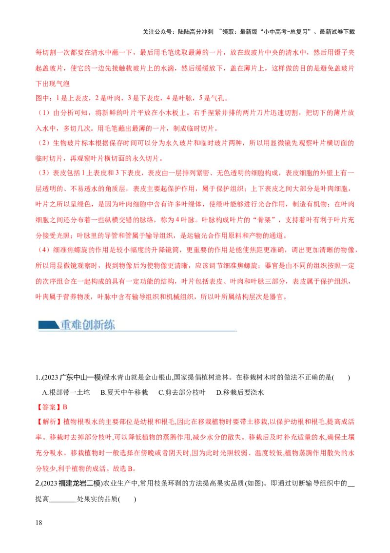 专题06绿色植物与生物圈的水循环（练习）（解析版）_02中考总复习（2026版更新中）_08-生物-中考总复习_2024年中考复习资料_一轮复习_❤2024年中考生物一轮复习讲练测（全国通用）_练习