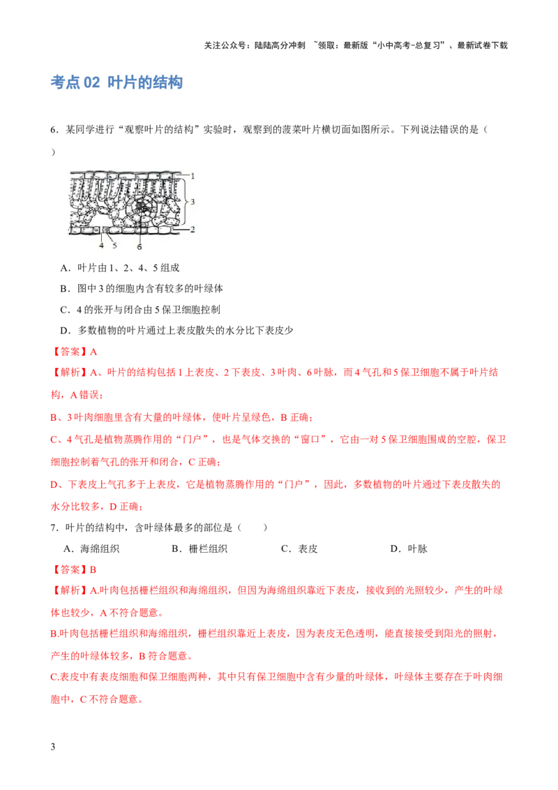 专题06绿色植物与生物圈的水循环（练习）（解析版）_02中考总复习（2026版更新中）_08-生物-中考总复习_2024年中考复习资料_一轮复习_❤2024年中考生物一轮复习讲练测（全国通用）_练习