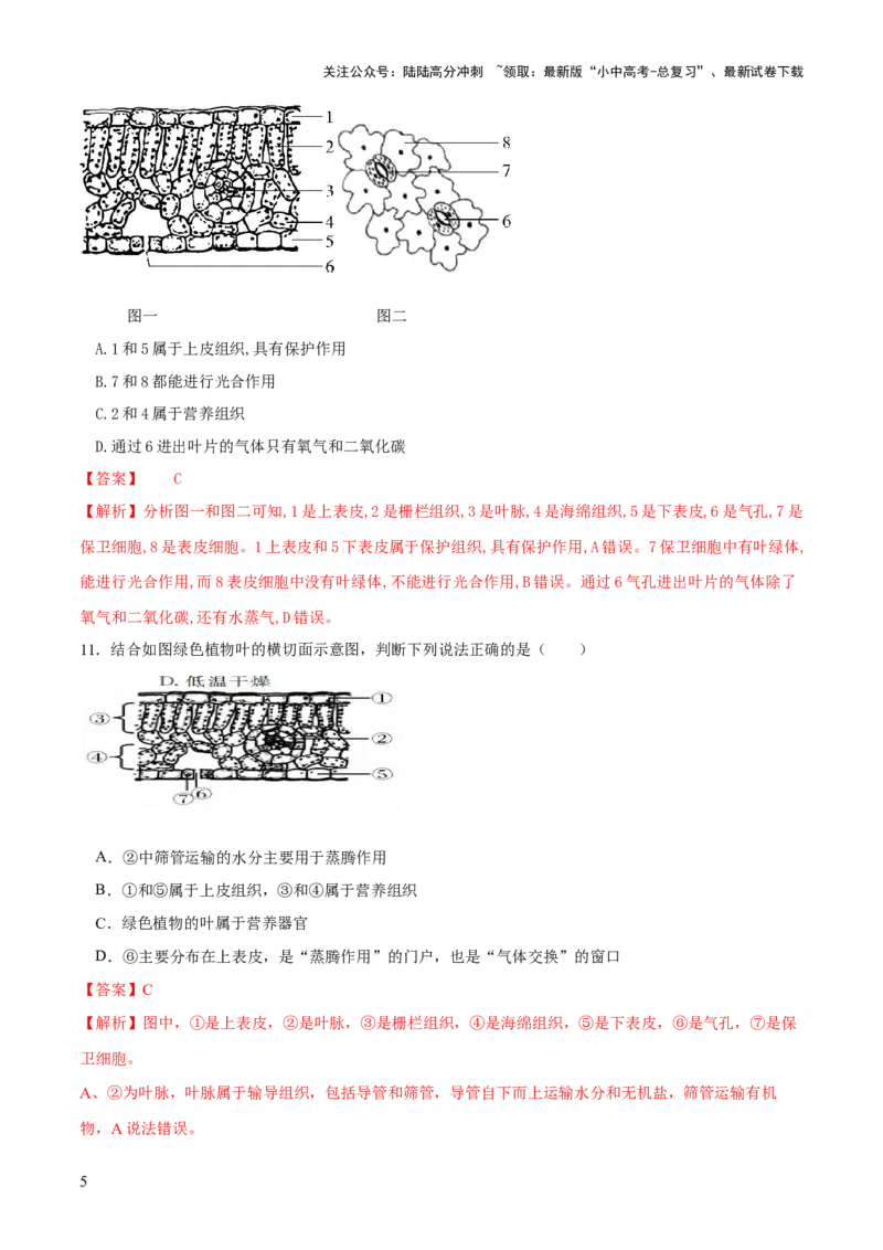 专题06绿色植物与生物圈的水循环（练习）（解析版）_02中考总复习（2026版更新中）_08-生物-中考总复习_2024年中考复习资料_一轮复习_❤2024年中考生物一轮复习讲练测（全国通用）_练习