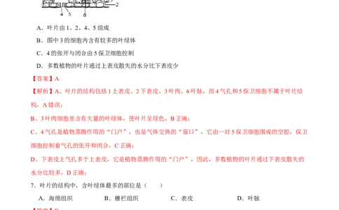 专题06绿色植物与生物圈的水循环（练习）（解析版）_02中考总复习（2026版更新中）_08-生物-中考总复习_2024年中考复习资料_一轮复习_❤2024年中考生物一轮复习讲练测（全国通用）_练习