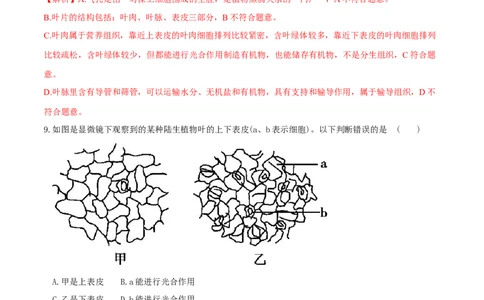 专题06绿色植物与生物圈的水循环（练习）（解析版）_02中考总复习（2026版更新中）_08-生物-中考总复习_2024年中考复习资料_一轮复习_❤2024年中考生物一轮复习讲练测（全国通用）_练习