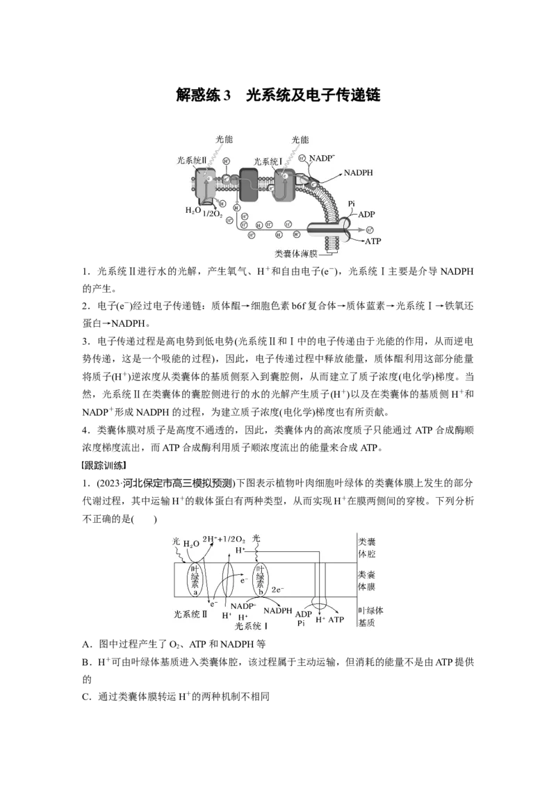 2024年高考生物一轮复习（新人教版）第3单元　解惑练3　光系统及电子传递链_09高考生物_2024年新高考资料_1.2024一轮复习_2024年高考生物一轮复习讲义（新人教版）