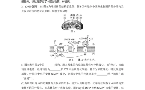 2024年高考生物一轮复习（新人教版）第3单元　解惑练3　光系统及电子传递链_09高考生物_2024年新高考资料_1.2024一轮复习_2024年高考生物一轮复习讲义（新人教版）